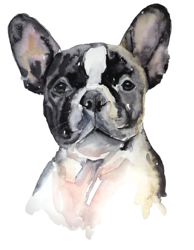 Watercolour French Bulldog