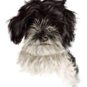 Digital Oil Painting Custom Pet Portrait
