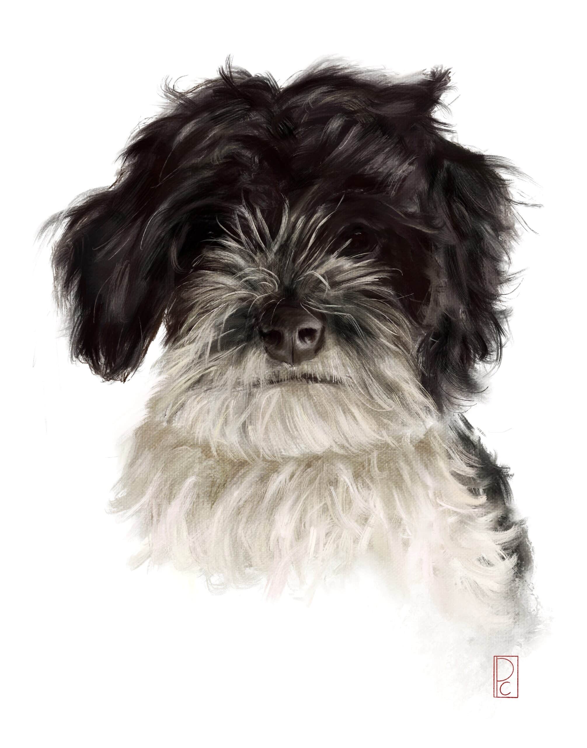 Digital Oil Painting Custom Pet Portrait