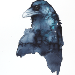 Abstract Watercolour Raven
