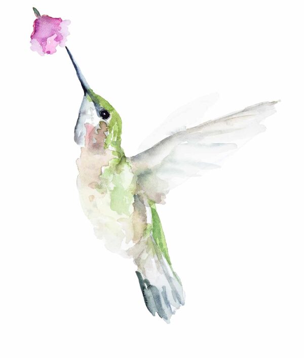 Watercolour Hummingbird