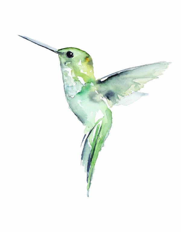 Watercolour Hummingbird Painting